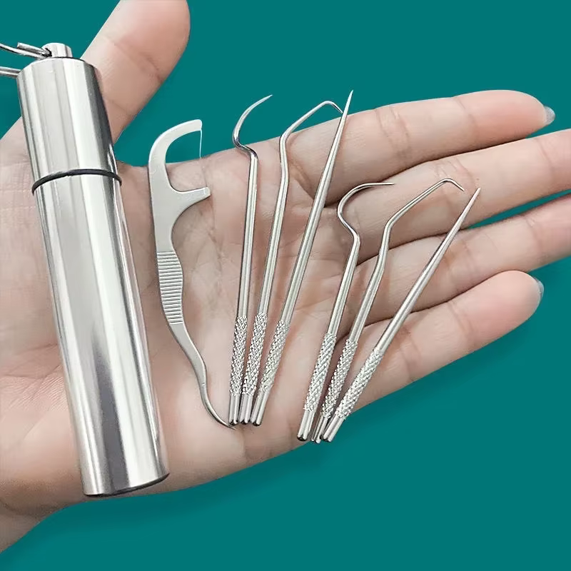 Ensemble de cure-dents réutilisables en acier inoxydable, fil dentaire, outil d'élimination du tartr