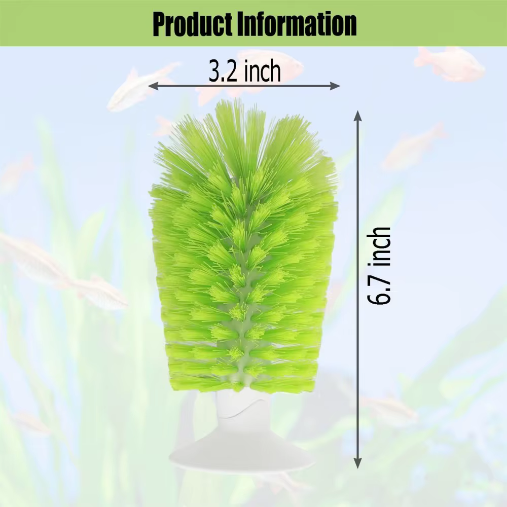 Épurateur coquille de tortue brosse de nettoyage nettoyant orthèse petit Animal plastique tortue aqu