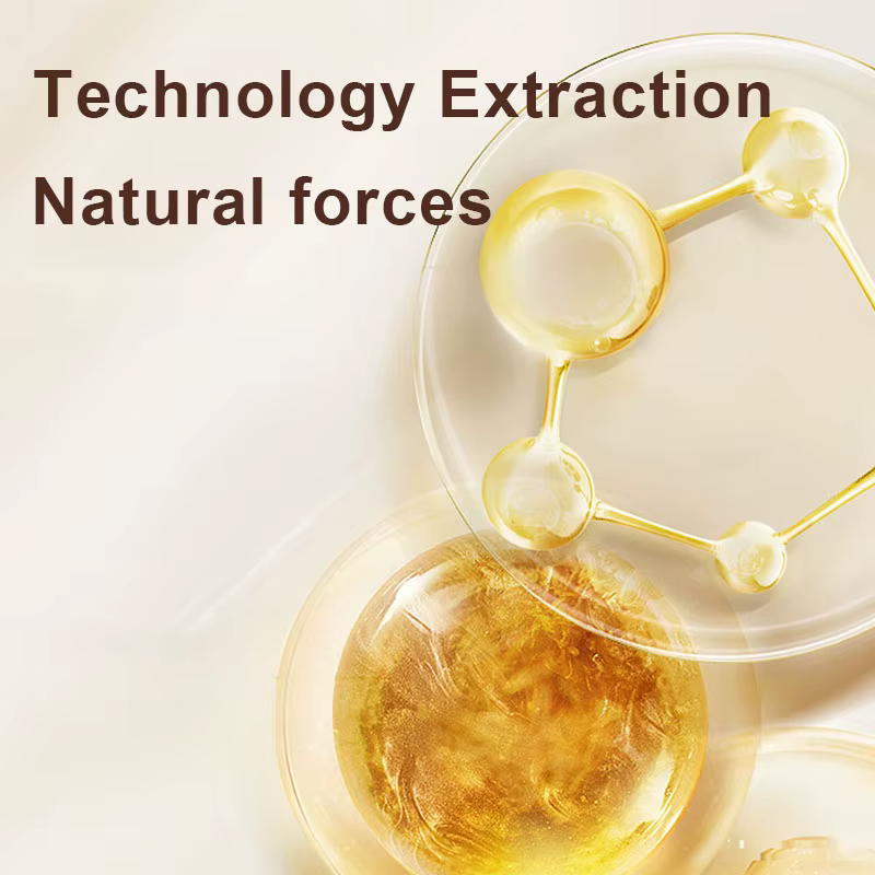 Zhang Guang 101 Tonique Régénérant à Base de Plantes Chinoises 350ml Fortifiant la Repousse des Chev