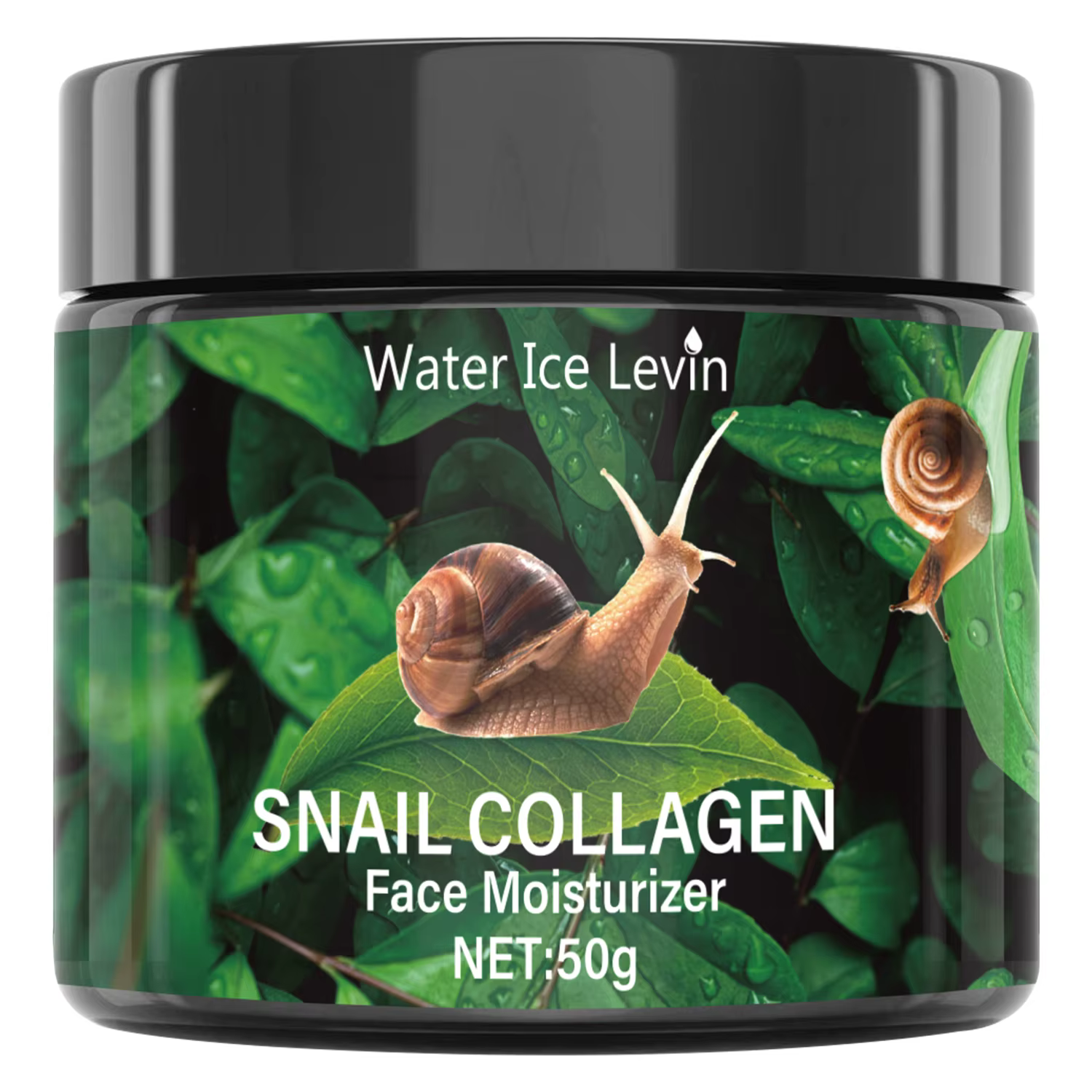 Crème Hydratante Escargot 50g - Collagène Végétal & Vitamine E, Brillance Naturelle Non Collante