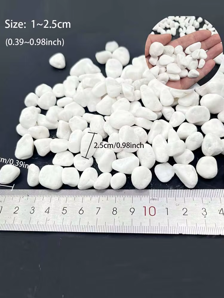 100/300/500G galets blancs pierres décoratives pour plantes-roches de rivière naturelles pour l'aménagement paysager de jardin, pot succulents et de cactus