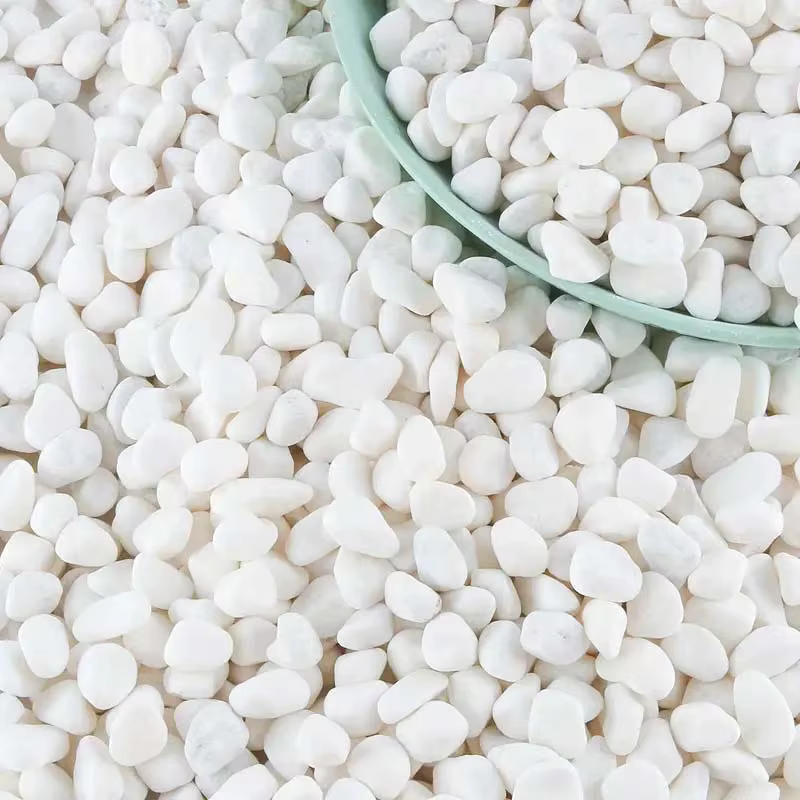 100/300/500G galets blancs pierres décoratives pour plantes-roches de rivière naturelles pour l'aménagement paysager de jardin, pot succulents et de cactus