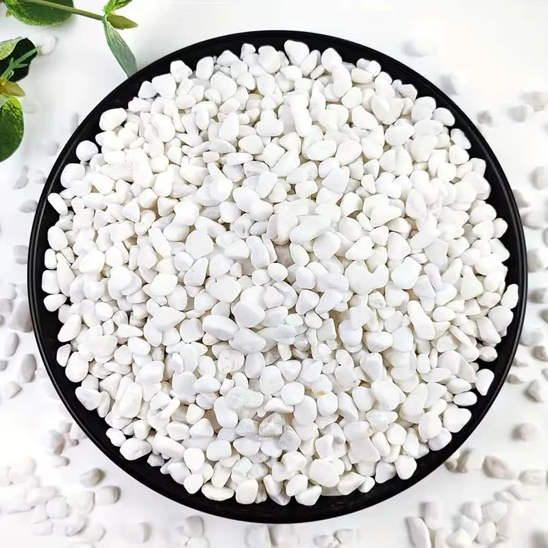 100/300/500G galets blancs pierres décoratives pour plantes-roches de rivière naturelles pour l'aménagement paysager de jardin, pot succulents et de cactus