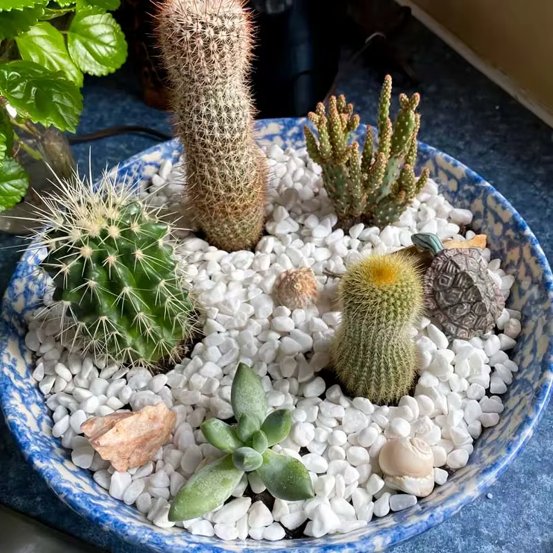 100/300/500G galets blancs pierres décoratives pour plantes-roches de rivière naturelles pour l'aménagement paysager de jardin, pot succulents et de cactus
