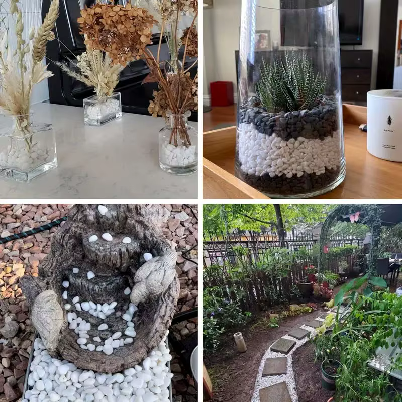 100/300/500G galets blancs pierres décoratives pour plantes-roches de rivière naturelles pour l'aménagement paysager de jardin, pot succulents et de cactus