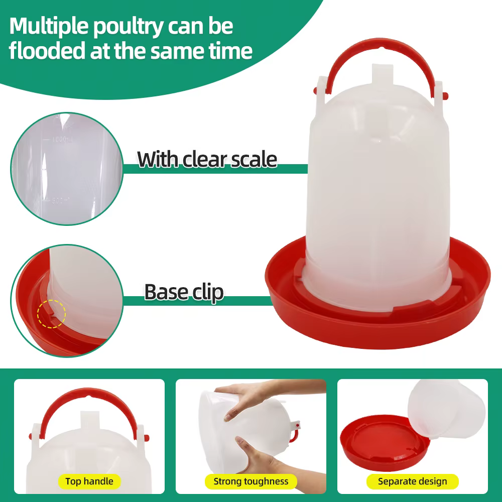 Mangeoire et abreuvoir automatiques pour poulets et oiseaux, 3 kg + 3 L, distributeur d'eau et de nourriture, seau d'alimentation, conteneur