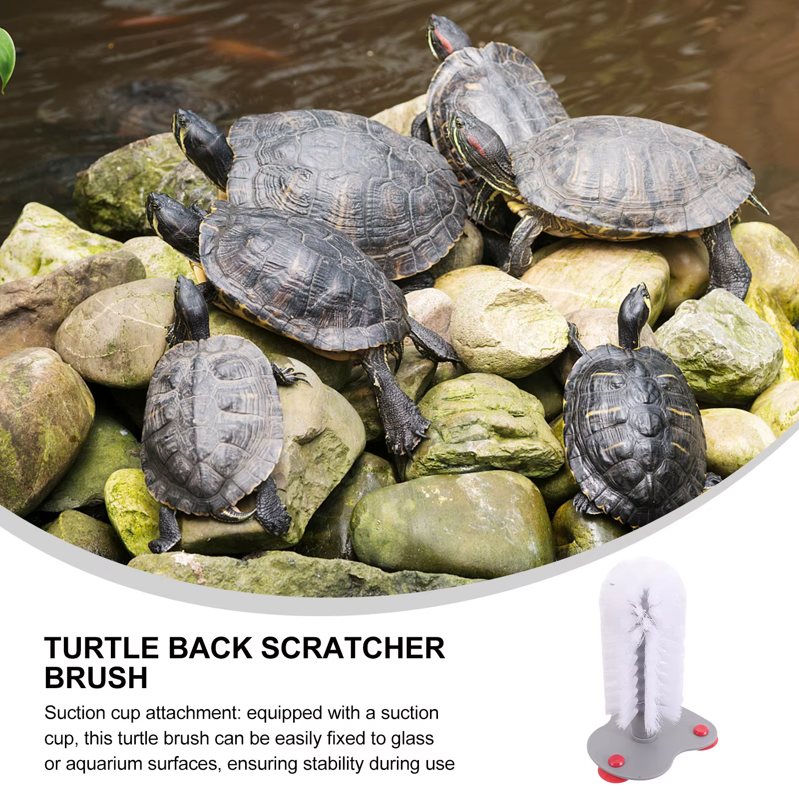 Brosse de nettoyage pour aquarium de tortue à ventouse, poils souples, brosse à gratter pour le dos, accessoires pour tortues, fournitures pour reptiles