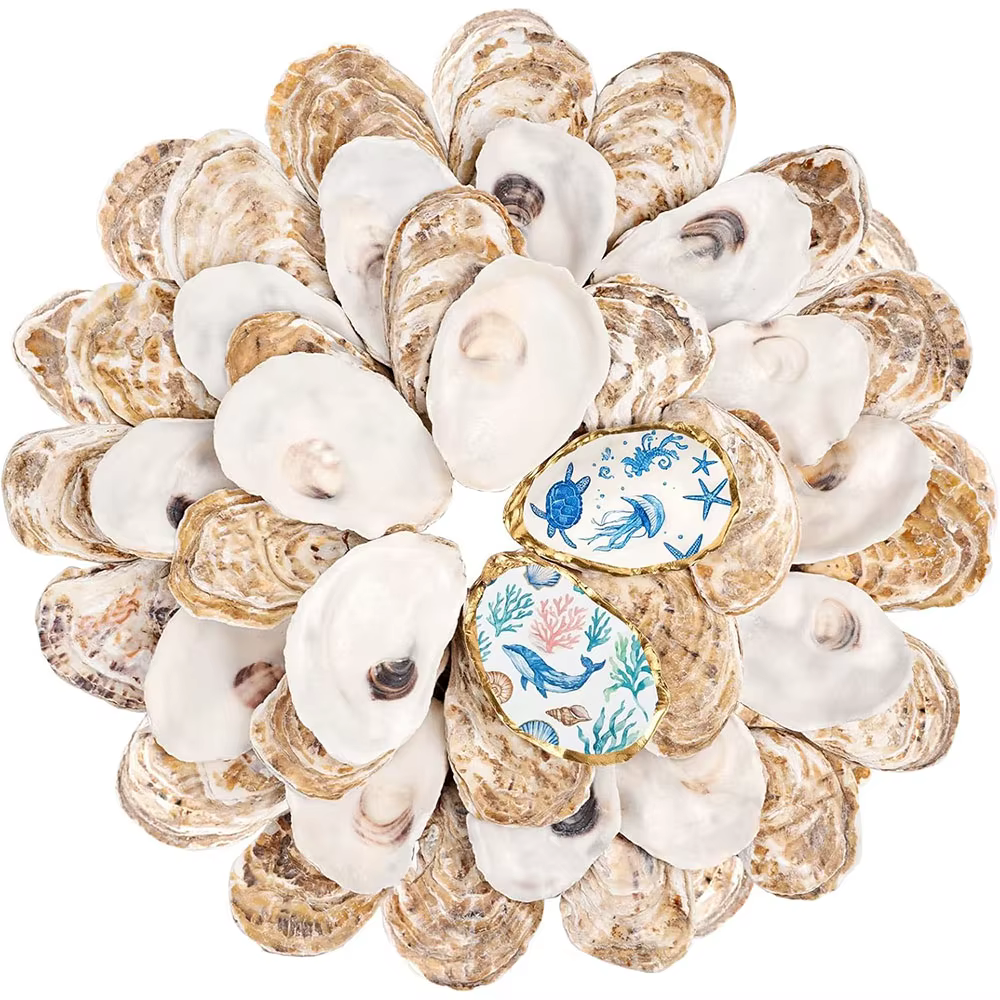 Petites coquilles d'huîtres plates pour l'artisanat, coquilles d'huîtres naturelles nettoyées pour la peinture, décoration de mariage DIY, art des coquillages côtiers de Noël