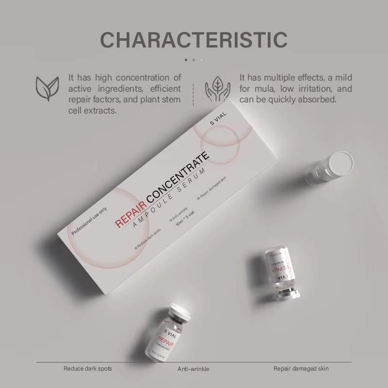 Professionnel haut de gamme Anti-rides CONCENTRATE AMPOULE SERUM Renewa Face
