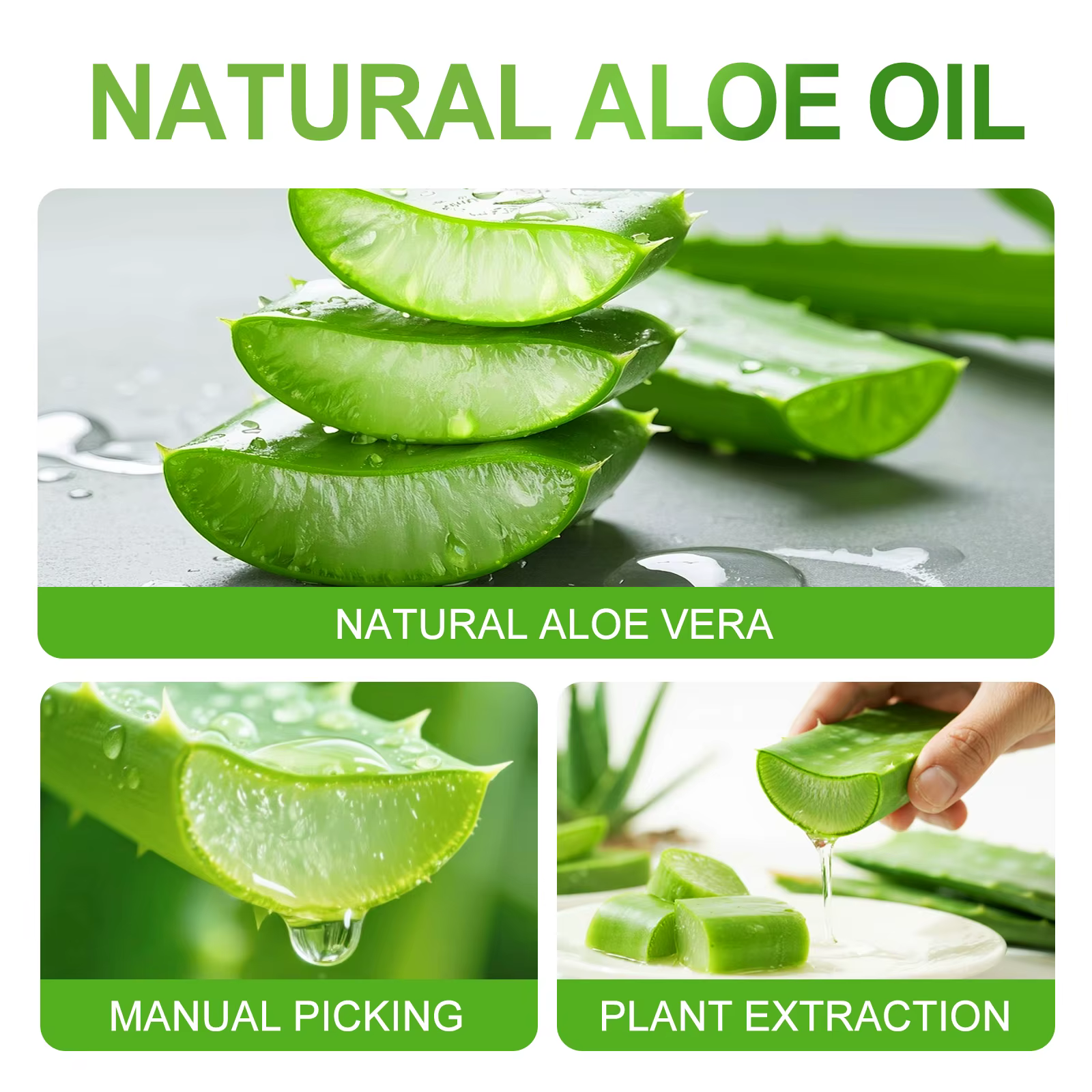 Huile essentielle d'aloe Vera