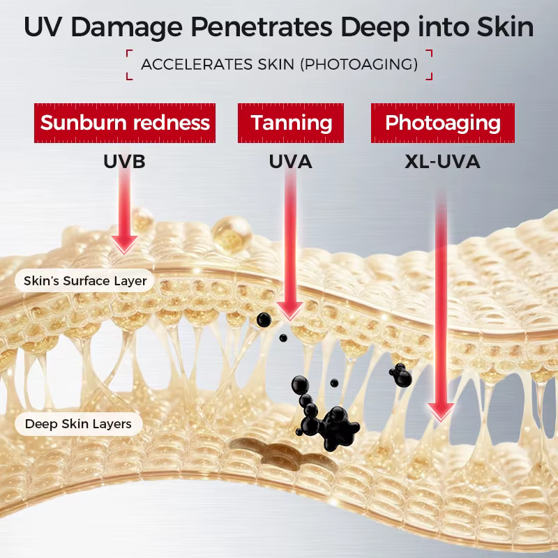 Crème solaire faciale SPF50+ | Protection UV à large spectre