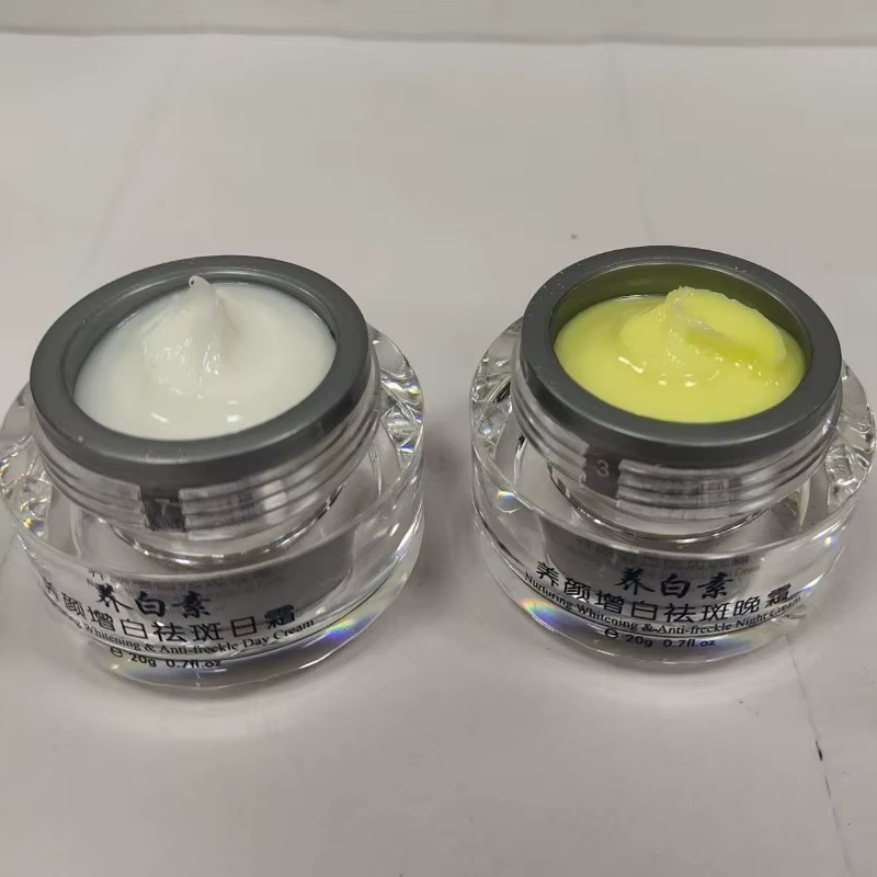 DIZHIMEI 10 jours nourrissant blanchissant Anti-taches de rousseur jour et nuit crème ensemble visage hydratant soins de la peau