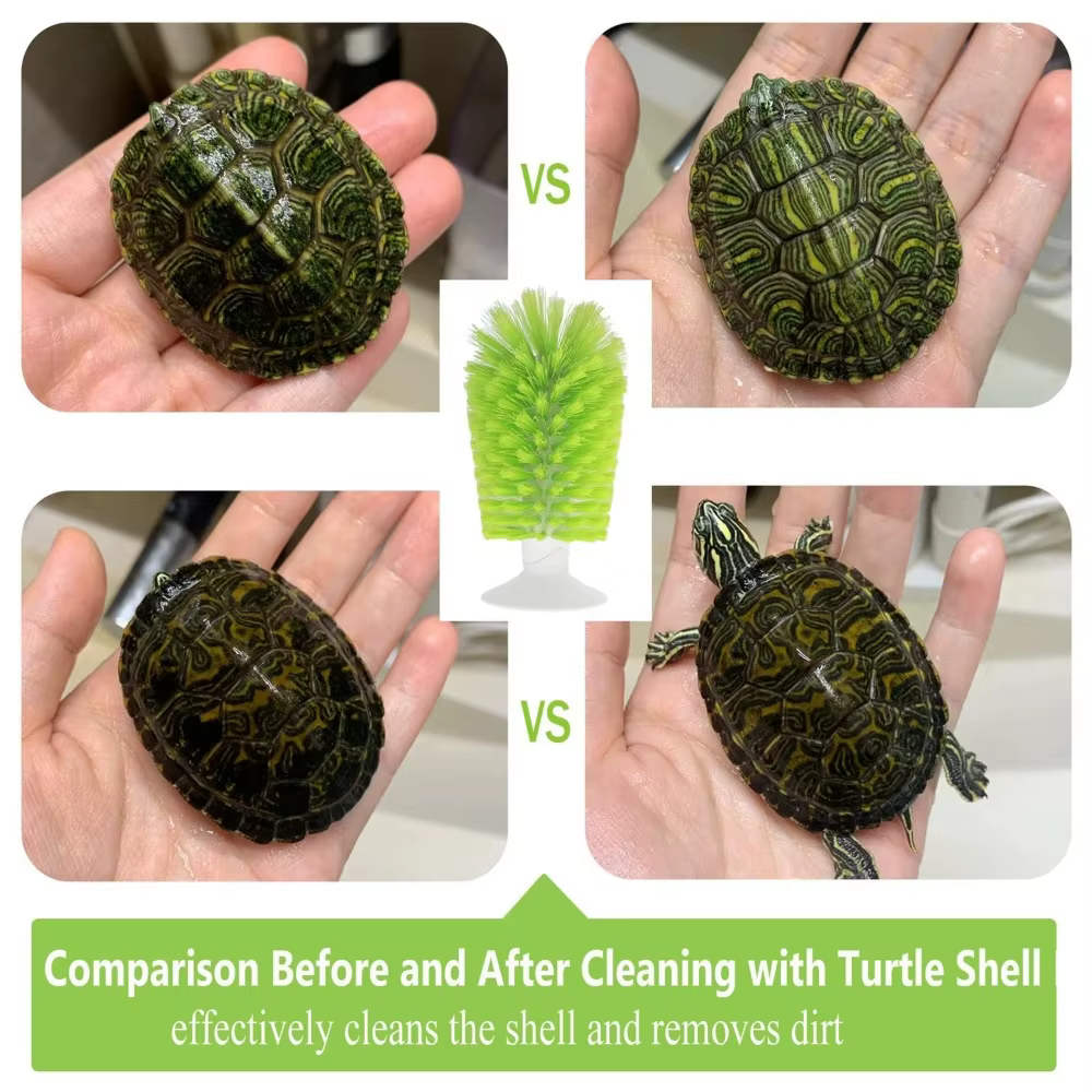 Brosse de nettoyage en plastique pour écailles de tortue, pour petits animaux aquatiques et tortues