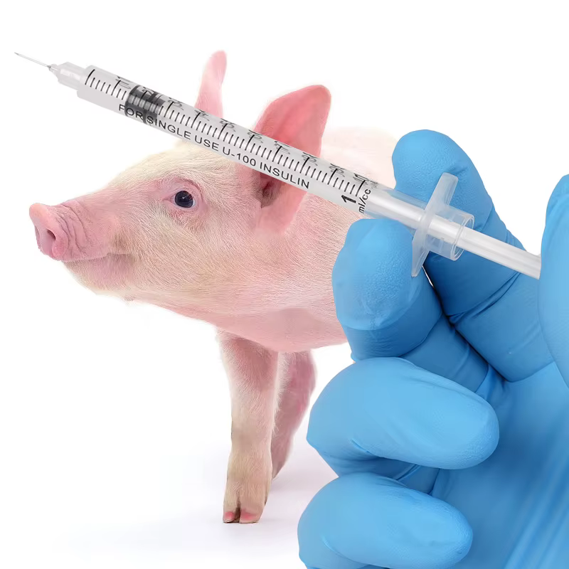 Seringue vétérinaire jetable, 20/50/100 pièces, seringue à poussée manuelle, aiguille 0.3/0.5/1ml, seringue pour animaux de ferme avec aiguilles, chat, chien, cochon