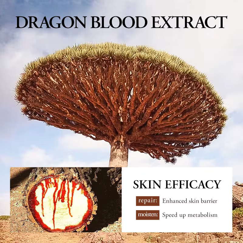 SADOER Ganoderma lucidum sang de Dragon sérum pour le visage Lotion hydratante Anti-rides contrôle du sébum