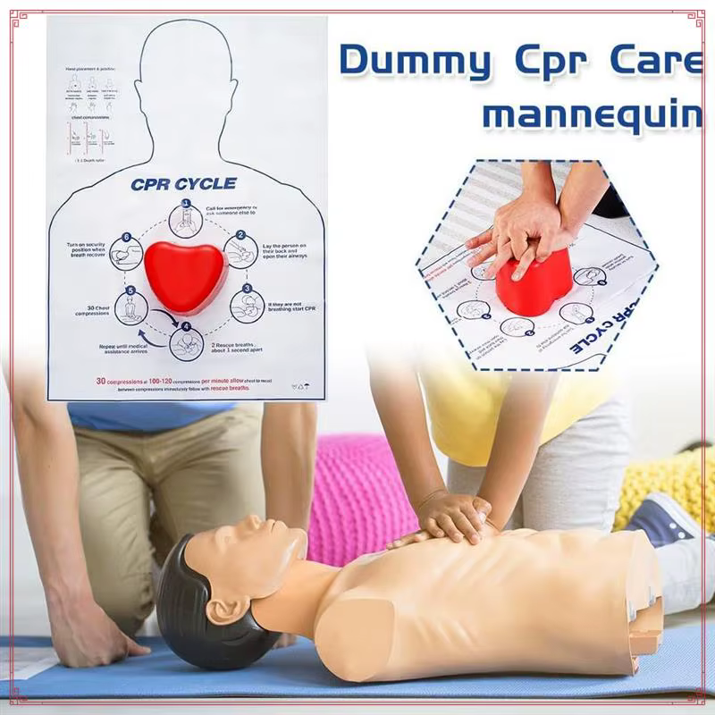 Modèle d'entraînement de CPR, Kit d'entraînement d'économie de CPR, outil de formation de premiers secours de compression de CPR, entraîneur de CPR mains uniquement