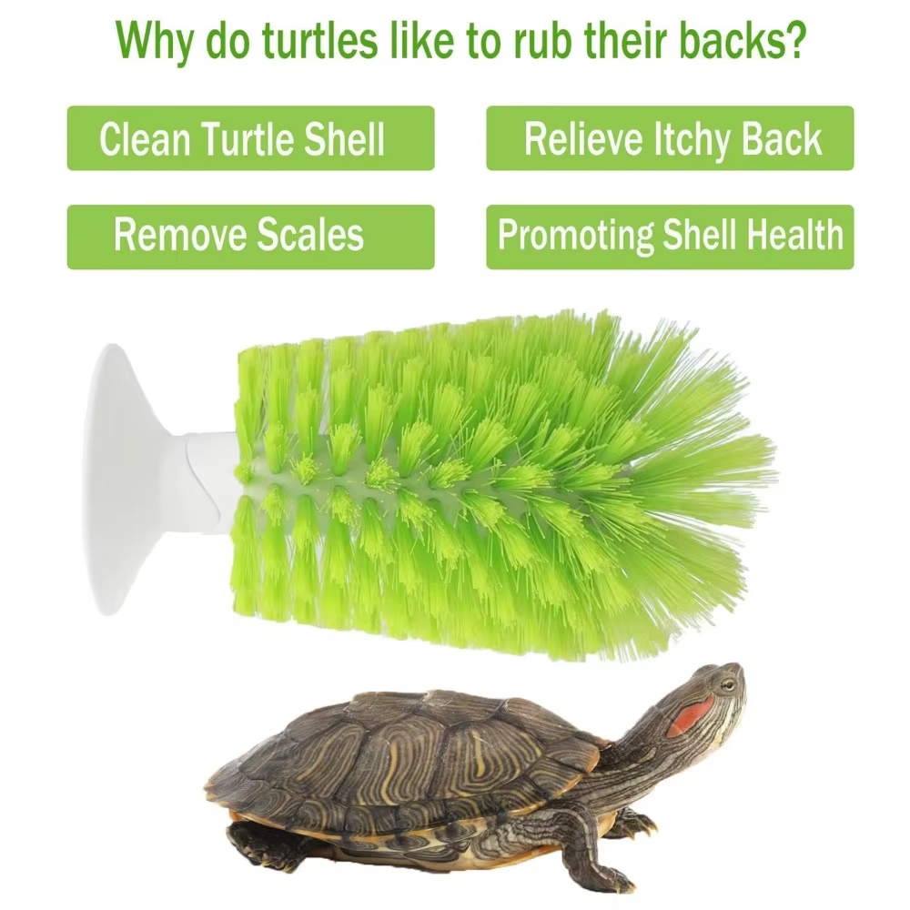 Brosse de nettoyage en plastique pour écailles de tortue, pour petits animaux aquatiques et tortues