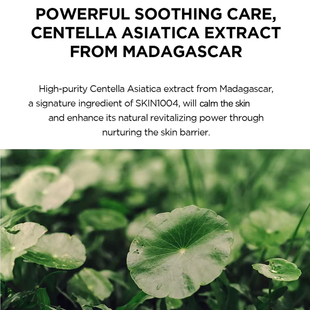 Madagascar Centella Hyalu-Cica sérum solaire imperméable SPF50 + PA +++