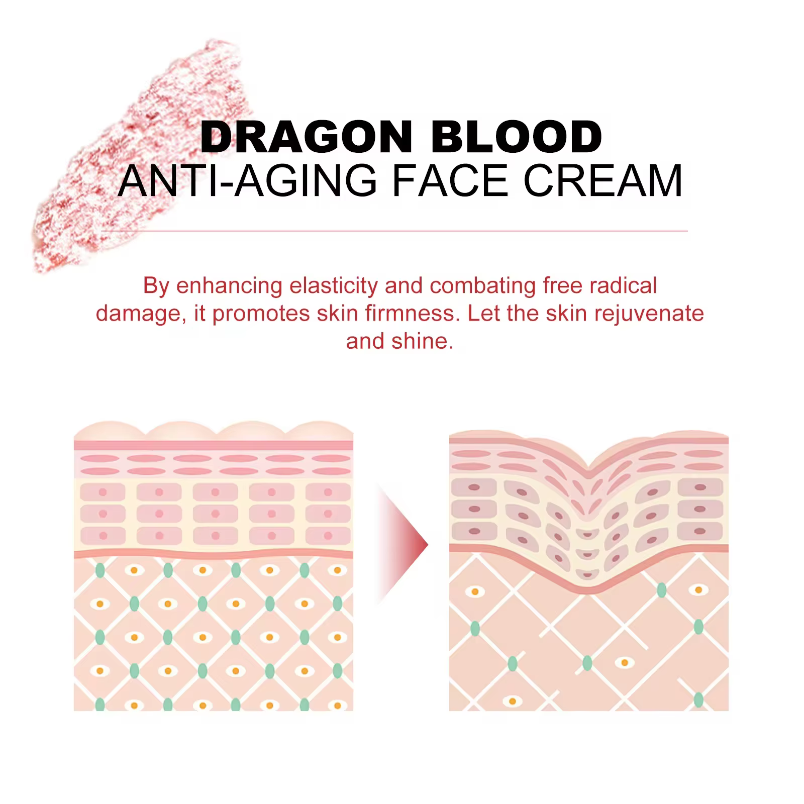 EELHOE crème de sang de Dragon rajeunissement traitements du visage réduire les ridules Anti-rides resserrer la peau
