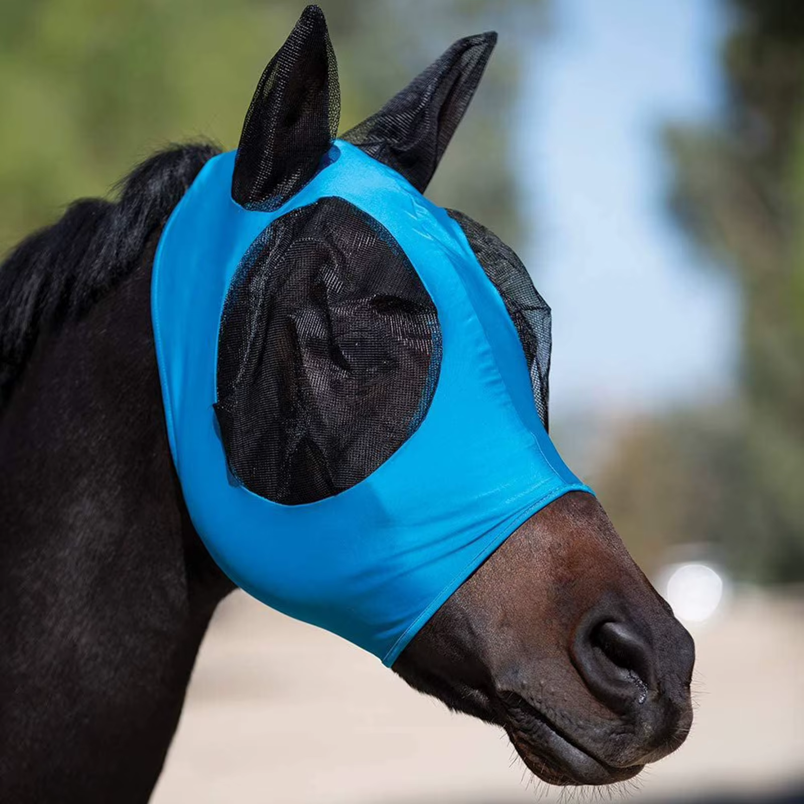 Masque anti-mouches pour chevaux, fournitures de conception 3D, ergonomique, bouclier oculaire d'été pour animaux de compagnie, Anti-moustique, demi-visage, pièces de protection contre les mouches