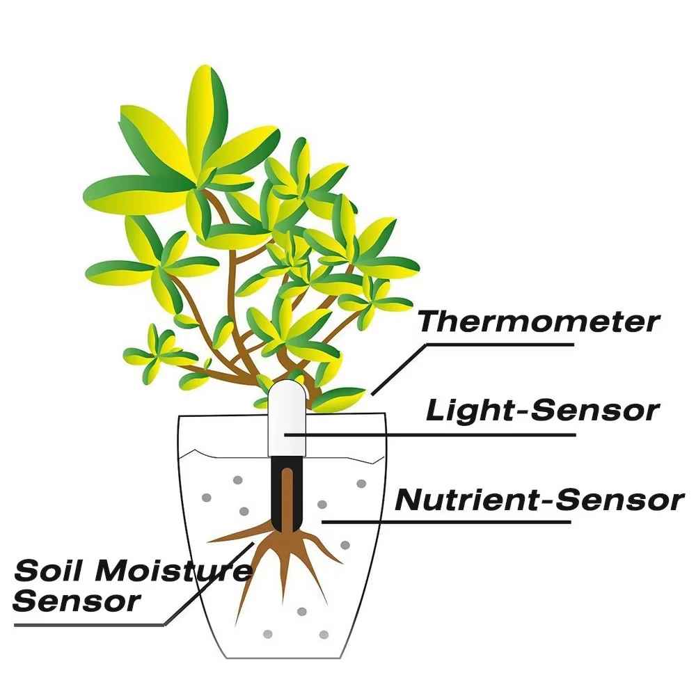 HHCC – moniteur de flore pour plantes de jardin, herbe, sol, eau, testeur intelligent de fertilité, capteur de jardin de fleurs, détecteur pour application Xiao Mi Mijia
