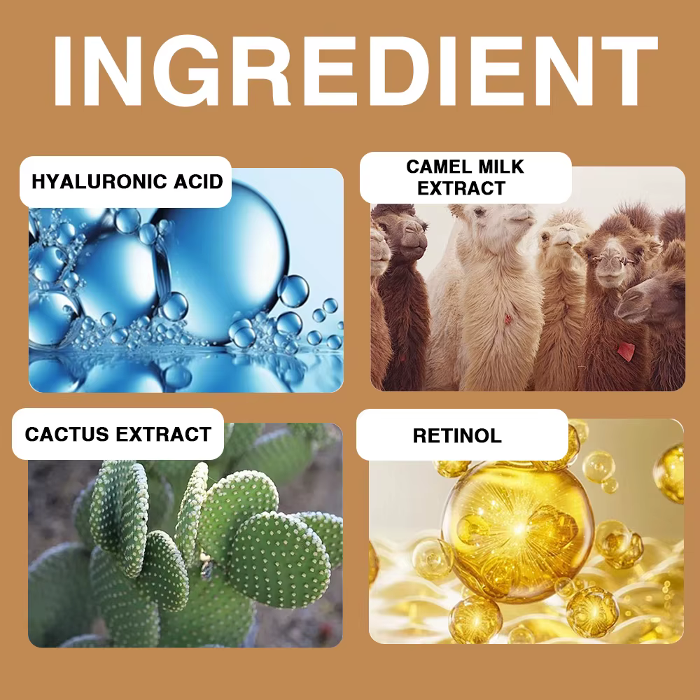 【Camel Milk & Cactus】Crème hydratant - Hydratation 72 heures