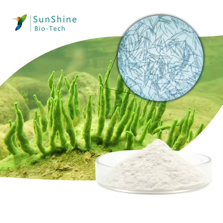 Masque facial en poudre lyophilisée de microcristal éponge