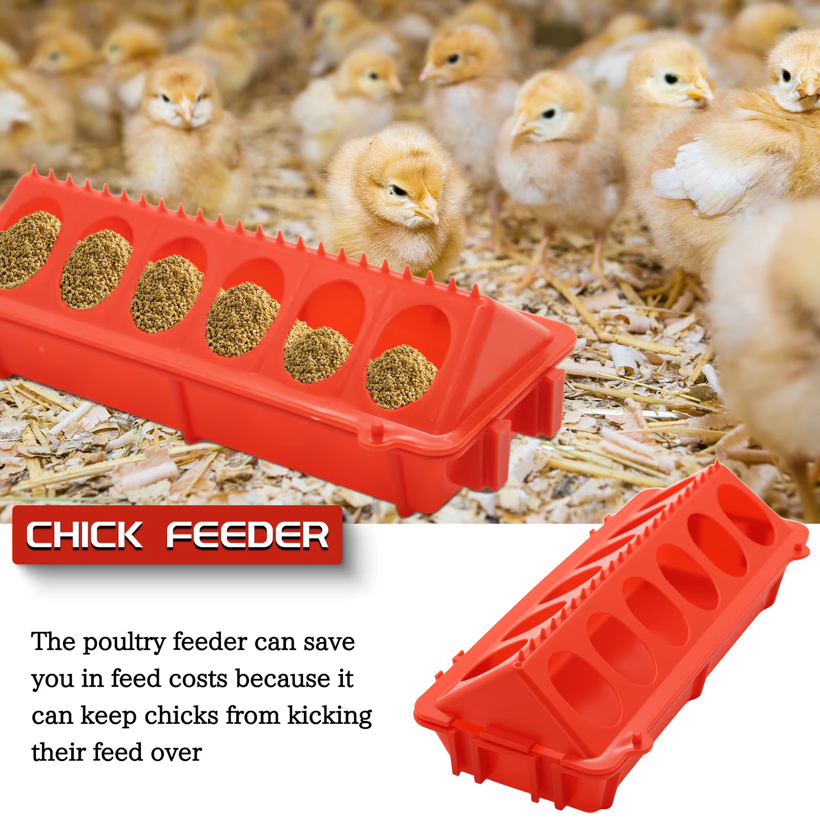 Mangeoire à poulet mangeoire à eau automatique pour poussins caille poussins boîte d'alimentation mangeoire automatique petit distributeur d'eau automatique