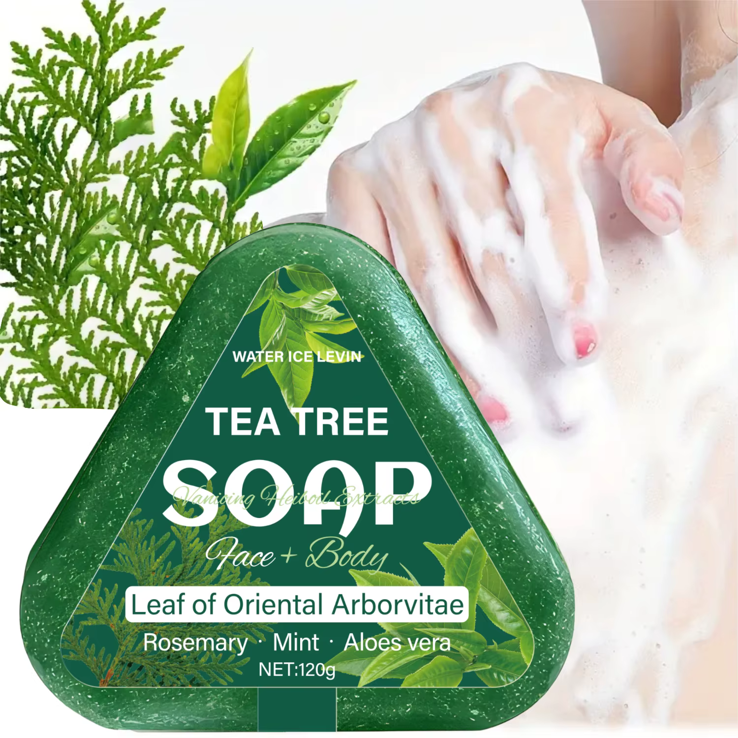 Savon à l'arbre à thé (visage + corps) : feuille d'arborvitae orientale