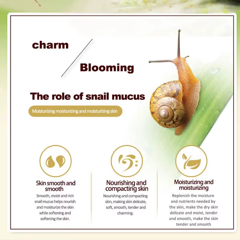 Soins de la peau crème d'escargot