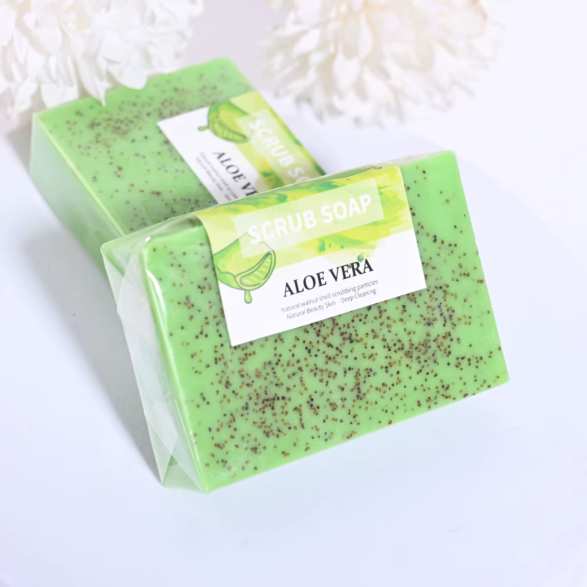 Extrait de plante d'aloe vera biologique naturel M+100G
