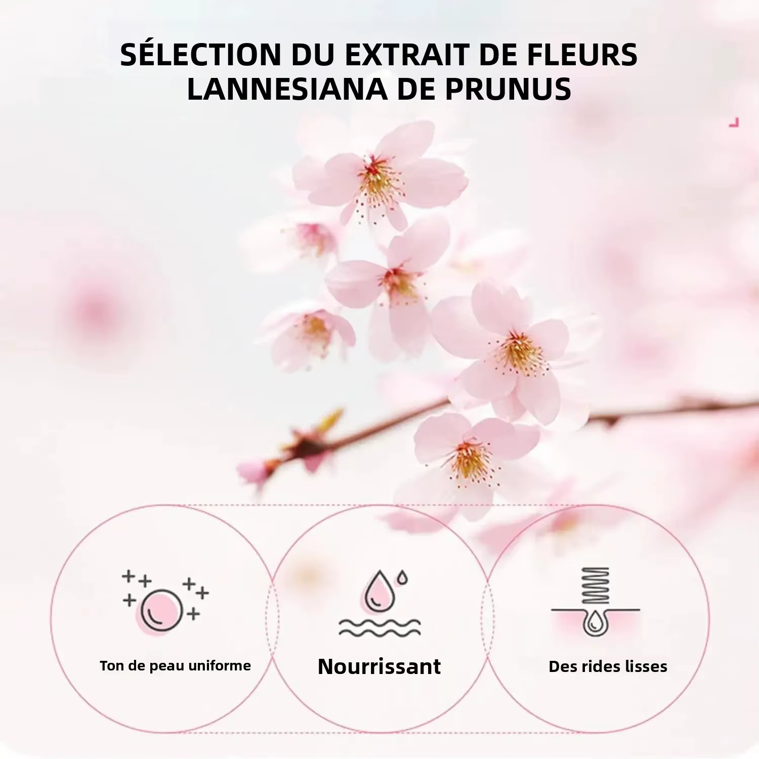 Sakura – ensemble de soins pour la peau