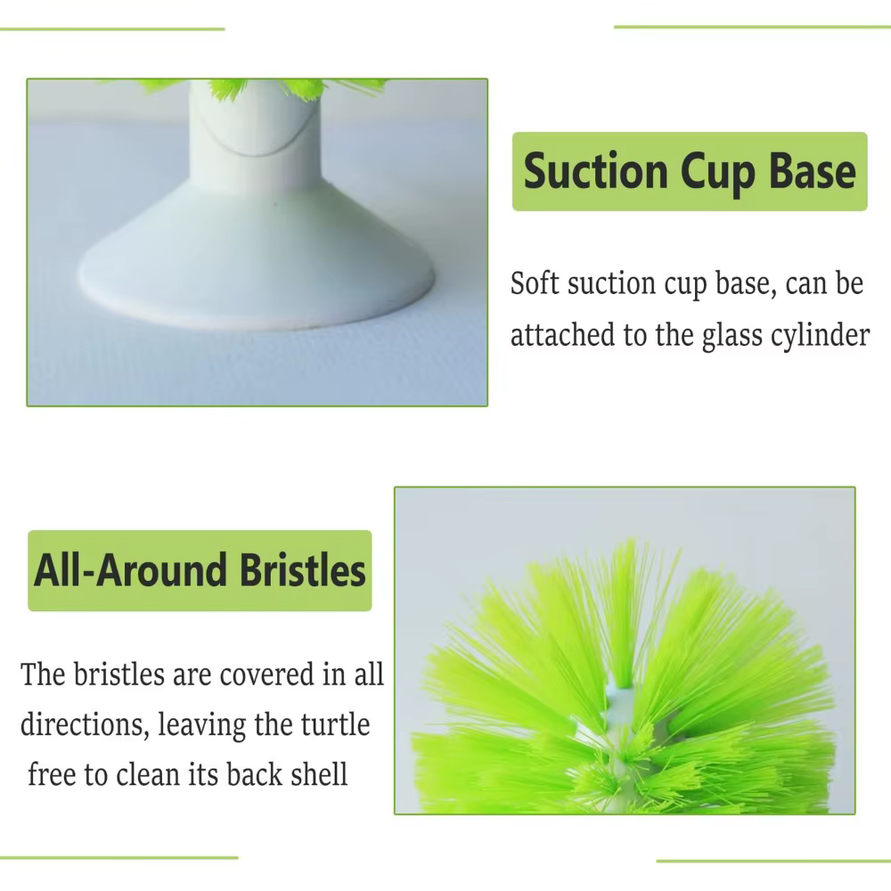 Épurateur coquille de tortue brosse de nettoyage nettoyant orthèse petit Animal plastique tortue aquatique