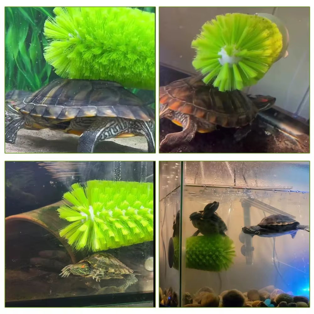 Brosse de nettoyage en plastique pour écailles de tortue, pour petits animaux aquatiques et tortues