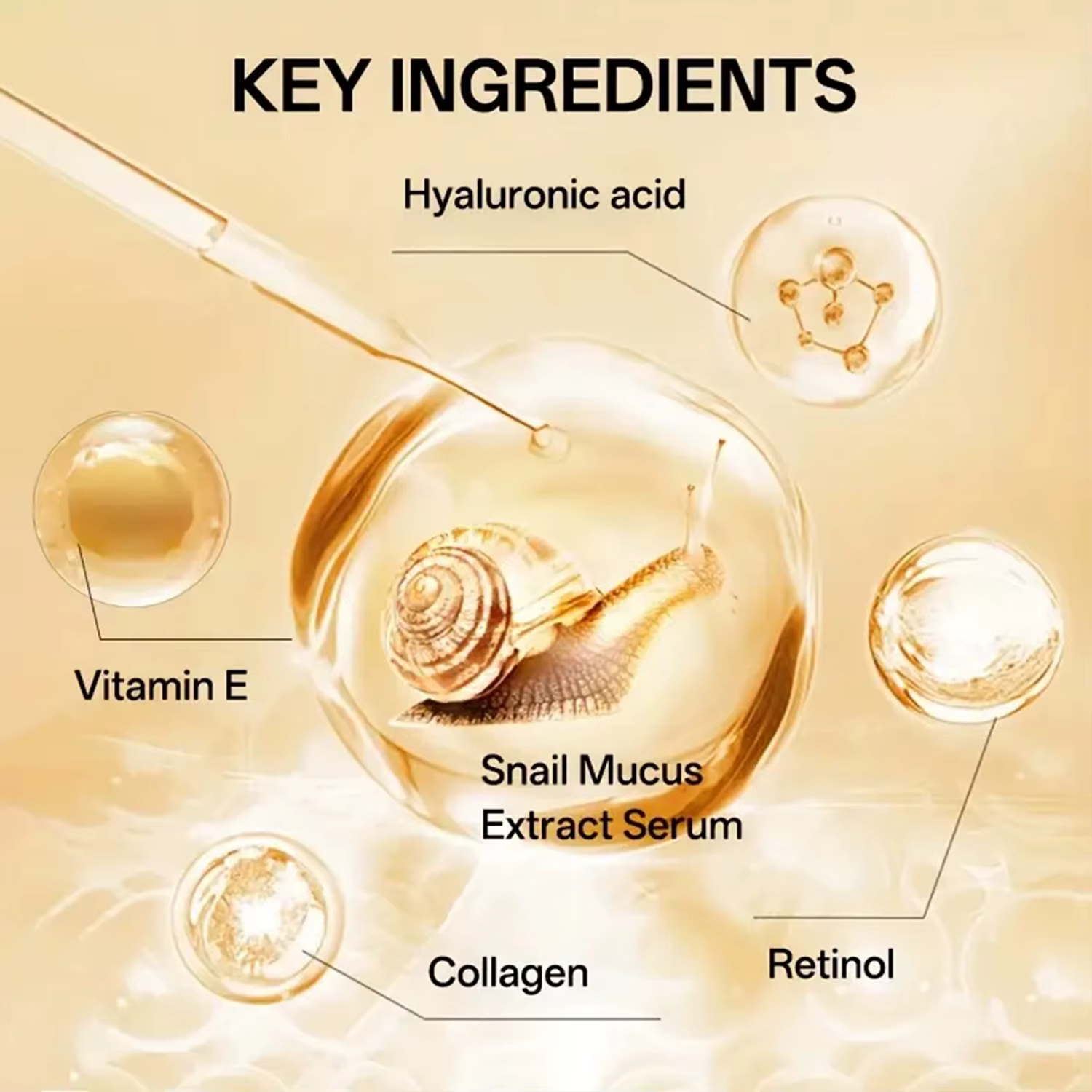 Crème Hydratante Escargot 50g - Collagène Végétal & Vitamine E
