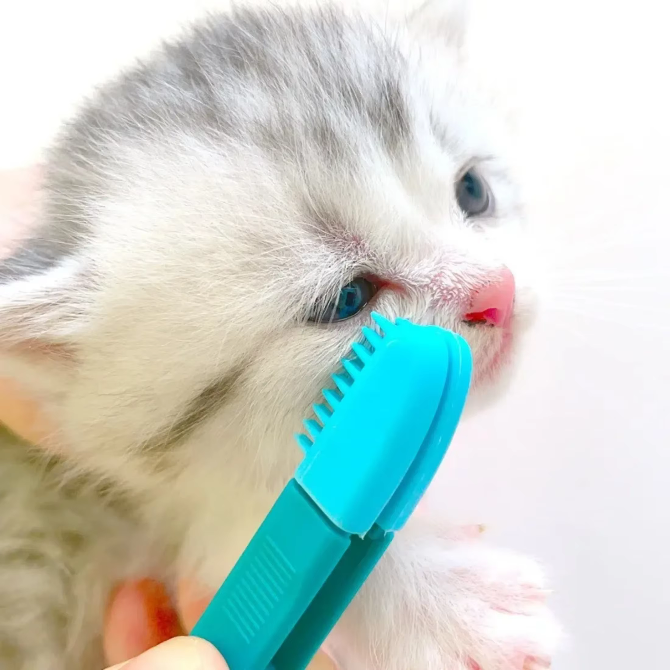 Brosse de nettoyage des yeux pour animaux de compagnie, peigne, dissolvant de taches, brosses de toilettage pour petits chats, chiens, produits de nettoyage des lingettes pour les yeux