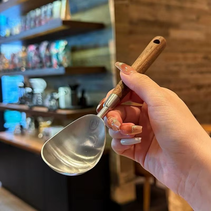Cuillère à glace et diviseur de fruits tout-en-un en acier inoxydable durable pour les amateurs de desserts
