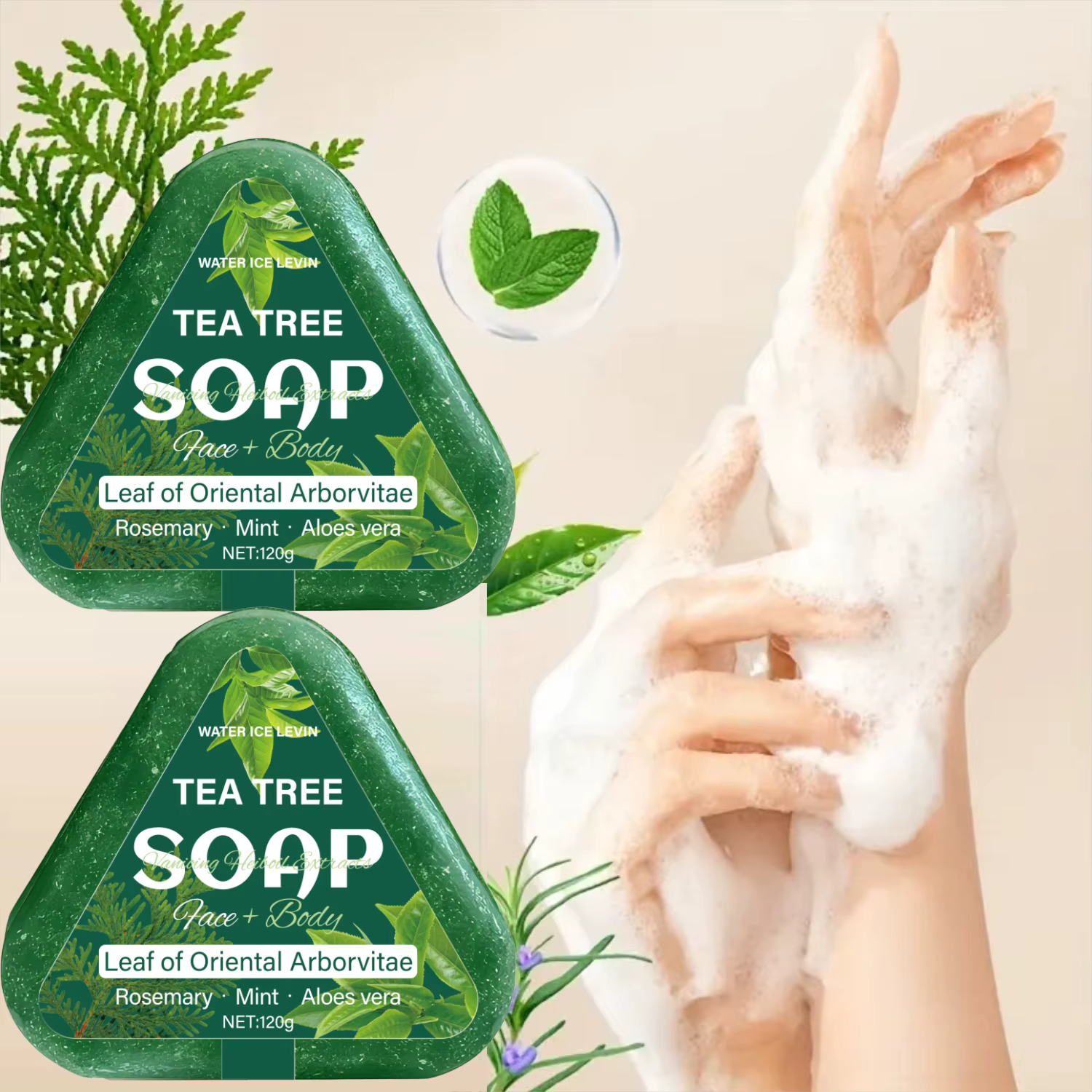 Savon à l'arbre à thé (visage + corps) : feuille d'arborvitae orientale