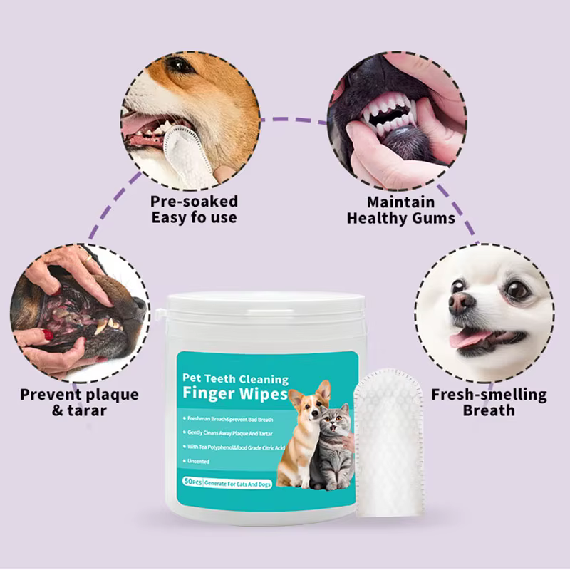 Lot de 50 lingettes pour animaux de compagnie, produit d'hygiène et de beauté pour les dents de chien, chat, chat, oreille et œil