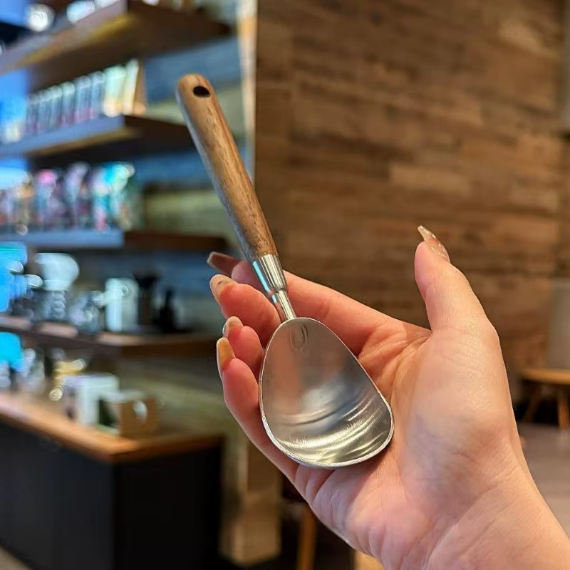 Cuillère à glace et diviseur de fruits tout-en-un en acier inoxydable durable pour les amateurs de desserts