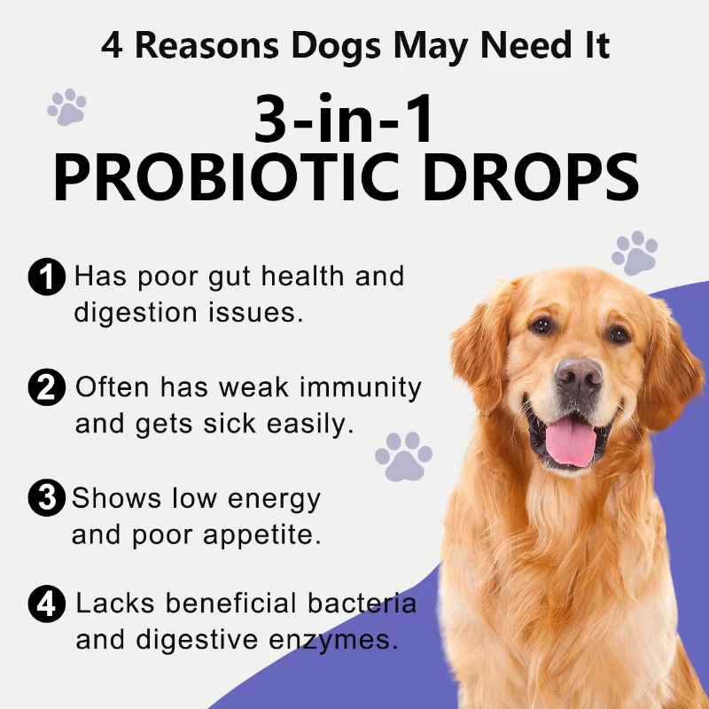 Gouttes Probiotiques Douces Comestibles pour le Soin Intestinal : Apaisent les Maux d'Estomac et Réduisent les Flatulences pour Animaux à Quatre Pattes d'Intérieur et d'Extérieur