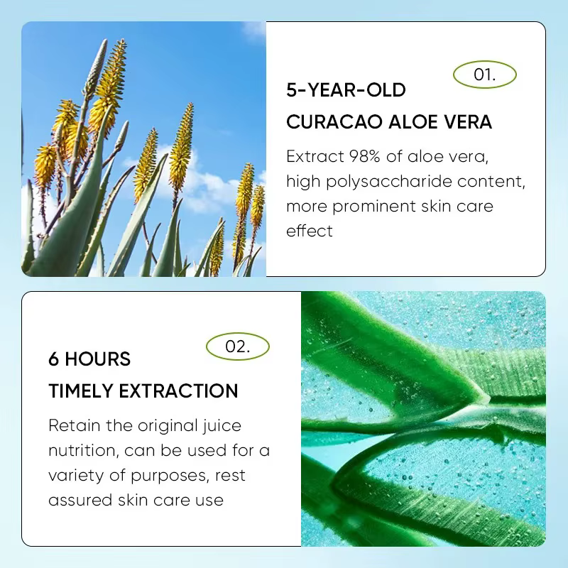Baume à l'aloe vera pour les lèvres nourrissant