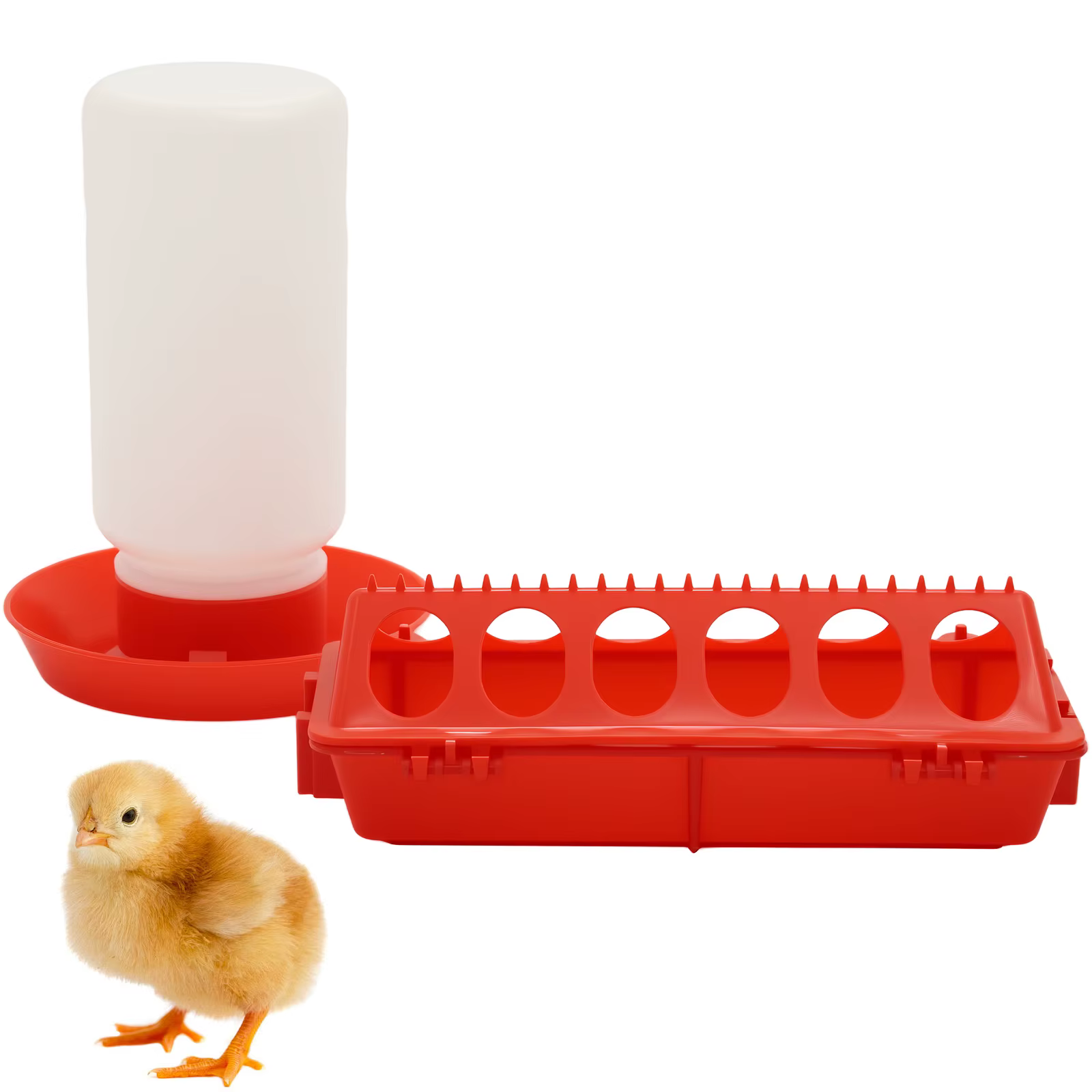 Mangeoire à poulet mangeoire à eau automatique pour poussins caille poussins boîte d'alimentation mangeoire automatique petit distributeur d'eau automatique