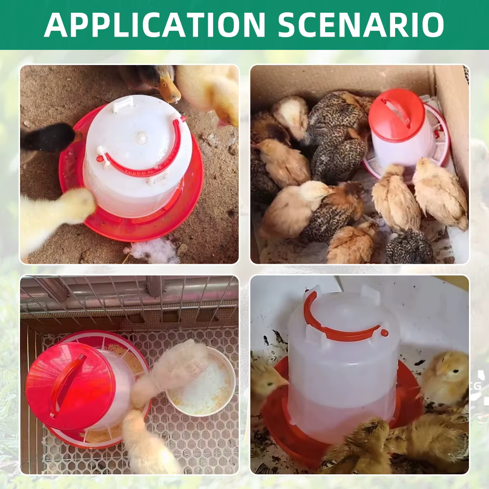 Mangeoire et abreuvoir automatiques pour poulets et oiseaux, 3 kg + 3 L, distributeur d'eau et de nourriture, seau d'alimentation, conteneur