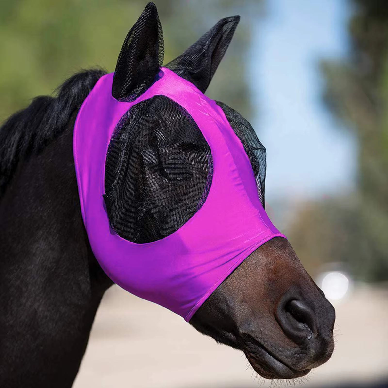 Masque anti-mouches pour chevaux, fournitures de conception 3D, ergonomique, bouclier oculaire d'été pour animaux de compagnie, Anti-moustique, demi-visage, pièces de protection contre les mouches