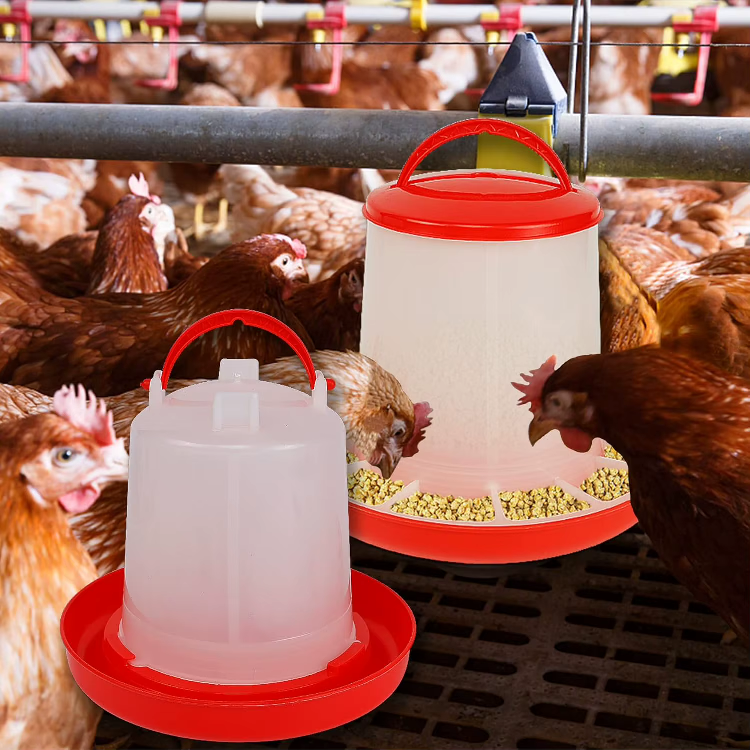 Mangeoire et abreuvoir automatiques pour poulets et oiseaux, 3 kg + 3 L, distributeur d'eau et de nourriture, seau d'alimentation, conteneur