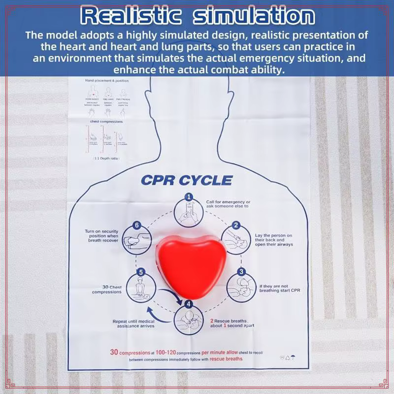 Modèle d'entraînement de CPR, Kit d'entraînement d'économie de CPR, outil de formation de premiers secours de compression de CPR, entraîneur de CPR mains uniquement