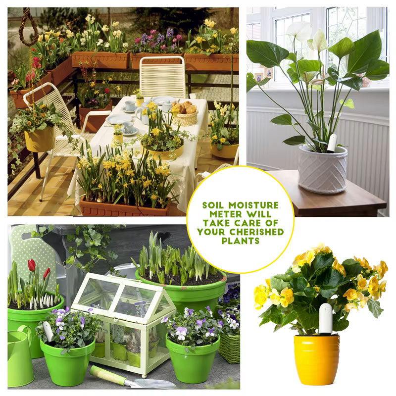 HHCC Xiaomi soins des fleurs moniteur de plantes intelligent produits de fleurs moniteur flore jardin herbe sol eau fertilité pour Xiaomi Mijia APP