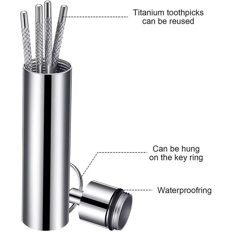 Ensemble de cure-dents réutilisables en acier inoxydable, fil dentaire, outil d'élimination du tartre, nettoyeur de dents Portable pour le nettoyage buccal des dents