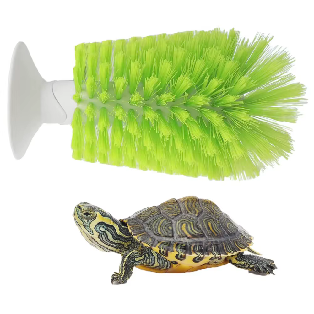 Brosse de nettoyage en plastique pour écailles de tortue, pour petits animaux aquatiques et tortues